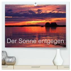 Der Sonne entgegen (hochwertiger Premium Wandkalender 2024 DIN A2 quer), Kunstdruck in Hochglanz von Albicker,  Gerhard