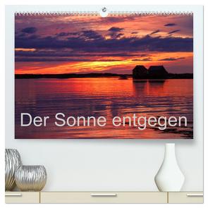 Der Sonne entgegen (hochwertiger Premium Wandkalender 2024 DIN A2 quer), Kunstdruck in Hochglanz von Albicker,  Gerhard