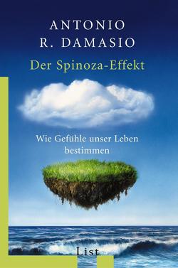 Der Spinoza-Effekt von Damasio,  Antonio R.