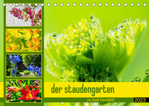 der staudengarten zu bad hersfeld (Tischkalender 2023 DIN A5 quer) von Sennewald,  Steffen