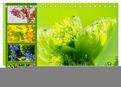 der staudengarten zu bad hersfeld (Tischkalender 2024 DIN A5 quer), CALVENDO Monatskalender von Sennewald,  Steffen