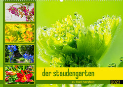 der staudengarten zu bad hersfeld (Wandkalender 2023 DIN A2 quer) von Sennewald,  Steffen