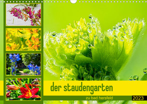 der staudengarten zu bad hersfeld (Wandkalender 2023 DIN A3 quer) von Sennewald,  Steffen