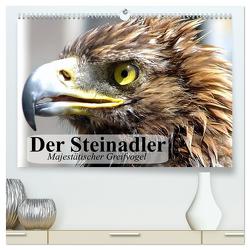 Der Steinadler. Majestätischer Greifvogel (hochwertiger Premium Wandkalender 2024 DIN A2 quer), Kunstdruck in Hochglanz von Stanzer,  Elisabeth