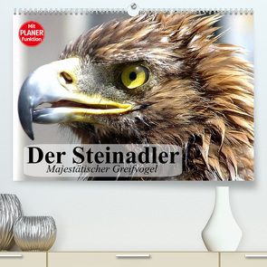 Der Steinadler. Majestätischer Greifvogel (Premium, hochwertiger DIN A2 Wandkalender 2023, Kunstdruck in Hochglanz) von Stanzer,  Elisabeth