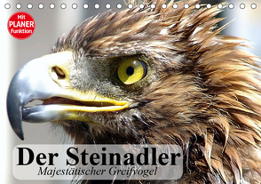 Der Steinadler. Majestätischer Greifvogel (Tischkalender 2021 DIN A5 quer) von Stanzer,  Elisabeth