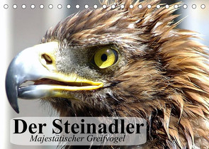 Der Steinadler. Majestätischer Greifvogel (Tischkalender 2023 DIN A5 quer) von Stanzer,  Elisabeth