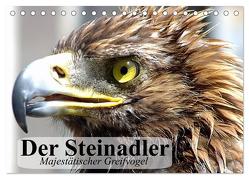 Der Steinadler. Majestätischer Greifvogel (Tischkalender 2024 DIN A5 quer), CALVENDO Monatskalender von Stanzer,  Elisabeth