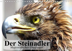 Der Steinadler. Majestätischer Greifvogel (Wandkalender 2023 DIN A4 quer) von Stanzer,  Elisabeth