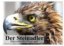 Der Steinadler. Majestätischer Greifvogel (Wandkalender 2024 DIN A2 quer), CALVENDO Monatskalender von Stanzer,  Elisabeth