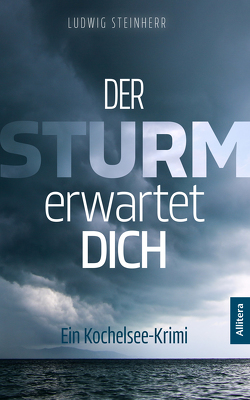 Der Sturm erwartet dich von Steinherr,  Ludwig