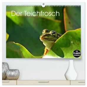 Der Teichfrosch (hochwertiger Premium Wandkalender 2024 DIN A2 quer), Kunstdruck in Hochglanz von Schmutzler-Schaub,  Christine