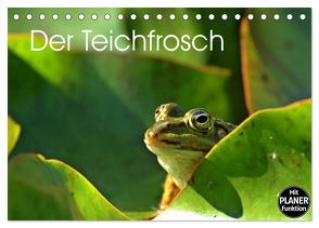 Der Teichfrosch (Tischkalender 2024 DIN A5 quer), CALVENDO Monatskalender von Schmutzler-Schaub,  Christine