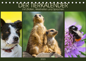 Der Tierkalender mit Zitaten, Weisheiten und Sprüchen (Tischkalender 2023 DIN A5 quer) von DESIGN Photo + PhotoArt,  AD, Dölling,  Angela