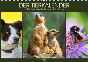 Der Tierkalender mit Zitaten, Weisheiten und Sprüchen (Wandkalender 2023 DIN A2 quer) von DESIGN Photo + PhotoArt,  AD, Dölling,  Angela