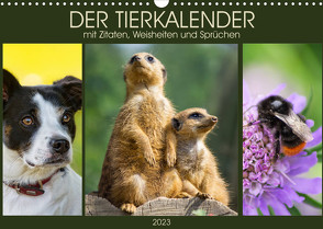 Der Tierkalender mit Zitaten, Weisheiten und Sprüchen (Wandkalender 2023 DIN A3 quer) von DESIGN Photo + PhotoArt,  AD, Dölling,  Angela