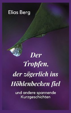 Der Tropfen, der zögerlich ins Höhlenbecken fiel von Berg,  Elias