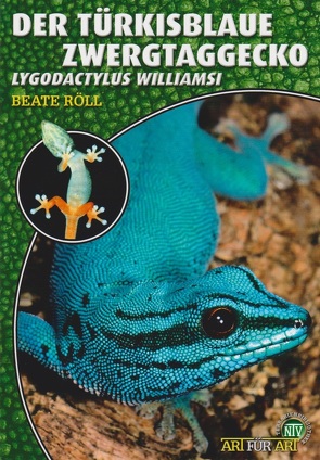 Der Türkisblaue Zwergtaggecko von Röll,  Beate