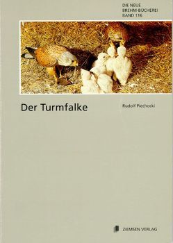 Der Turmfalke von Piechocki,  Rudolf