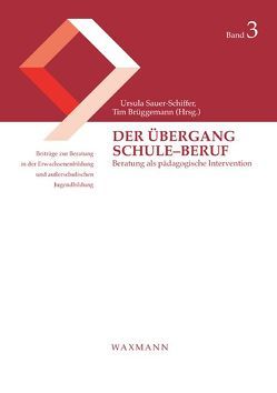 Der Übergang Schule–Beruf von Brüggemann,  Tim, Sauer-Schiffer,  Ursula