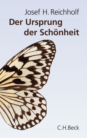Der Ursprung der Schönheit von Reichholf,  Josef H.