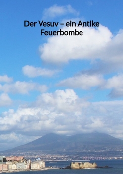 Der Vesuv – ein Antike Feuerbombe von Förster,  Tim