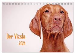 Der Vizsla 2024 (Tischkalender 2024 DIN A5 quer), CALVENDO Monatskalender von Stark,  Susanne