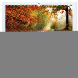 Der Wald. Durch zauberhafte Waldlandschaften (hochwertiger Premium Wandkalender 2024 DIN A2 quer), Kunstdruck in Hochglanz von Hurley,  Rose