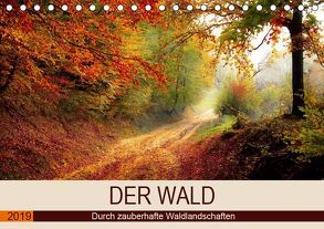 Der Wald. Durch zauberhafte Waldlandschaften (Tischkalender 2019 DIN A5 quer) von Hurley,  Rose