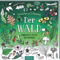 Der Wald – Eintauchen und Entspannen