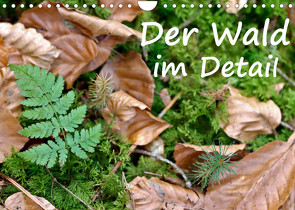 Der Wald im Detail (Wandkalender 2023 DIN A4 quer) von Härle,  Marina