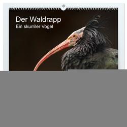 Der Waldrapp – Ein skurriler Vogel (hochwertiger Premium Wandkalender 2024 DIN A2 quer), Kunstdruck in Hochglanz von the Snow Leopard,  Cloudtail