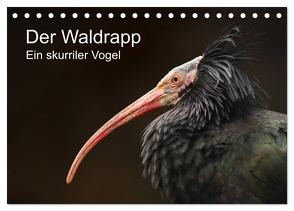 Der Waldrapp – Ein skurriler Vogel (Tischkalender 2024 DIN A5 quer), CALVENDO Monatskalender von the Snow Leopard,  Cloudtail