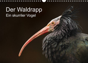 Der Waldrapp – Ein skurriler Vogel (Wandkalender 2022 DIN A3 quer) von the Snow Leopard,  Cloudtail