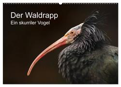 Der Waldrapp – Ein skurriler Vogel (Wandkalender 2024 DIN A2 quer), CALVENDO Monatskalender von the Snow Leopard,  Cloudtail