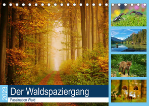 Der Waldspaziergang (Tischkalender 2023 DIN A5 quer) von Klapp,  Lutz