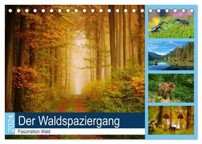 Der Waldspaziergang (Tischkalender 2024 DIN A5 quer), CALVENDO Monatskalender von Klapp,  Lutz