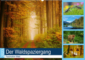 Der Waldspaziergang (Wandkalender 2023 DIN A2 quer) von Klapp,  Lutz