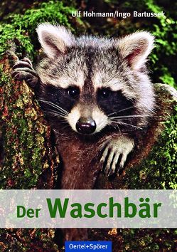 Der Waschbär von Bartussek,  Ingo, Hohmann,  Ulf