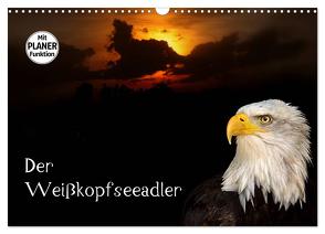 Der Weißkopfseeadler (Wandkalender 2024 DIN A3 quer), CALVENDO Monatskalender von Klatt,  Arno