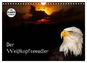 Der Weißkopfseeadler (Wandkalender 2024 DIN A4 quer), CALVENDO Monatskalender von Klatt,  Arno