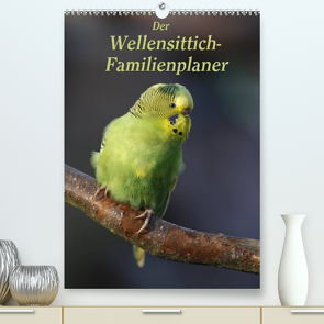 Der Wellensittich-Familienplaner (Premium, hochwertiger DIN A2 Wandkalender 2023, Kunstdruck in Hochglanz) von Lindert-Rottke,  Antje