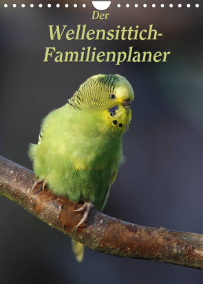 Der Wellensittich-Familienplaner (Wandkalender 2023 DIN A4 hoch) von Lindert-Rottke,  Antje