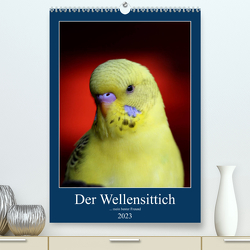 Der Wellensittich – mein bester Freund (Premium, hochwertiger DIN A2 Wandkalender 2023, Kunstdruck in Hochglanz) von Bergmann,  Björn