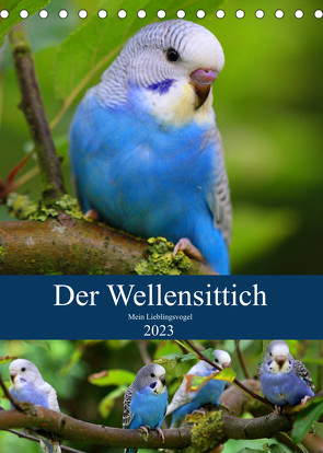 Der Wellensittich – Mein Lieblingsvogel (Tischkalender 2023 DIN A5 hoch) von Bergmann,  Björn