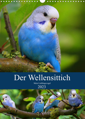Der Wellensittich – Mein Lieblingsvogel (Wandkalender 2023 DIN A3 hoch) von Bergmann,  Björn