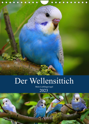 Der Wellensittich – Mein Lieblingsvogel (Wandkalender 2023 DIN A4 hoch) von Bergmann,  Björn
