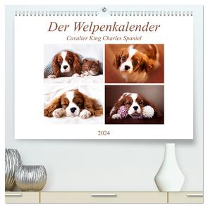 Der Welpenkalender – Cavalier King Charles Spaniel (hochwertiger Premium Wandkalender 2024 DIN A2 quer), Kunstdruck in Hochglanz von Bürger,  Janina