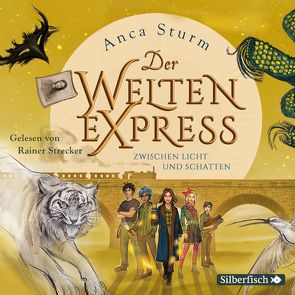 Der Welten-Express – Zwischen Licht und Schatten (Der Welten-Express 2) von Strecker,  Rainer, Sturm,  Anca