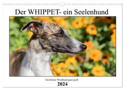 Der Whippet – ein Seelenhund (Wandkalender 2024 DIN A3 quer), CALVENDO Monatskalender von Hofmann,  Petra